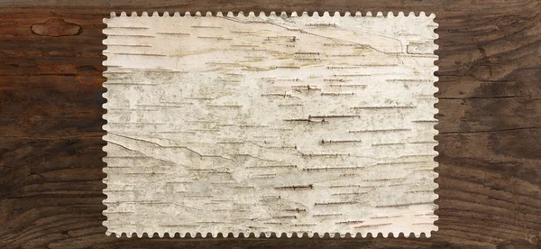 白樺樹皮テクスチャ ツリー空白波形エッジ — ストック写真