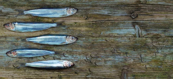 Baltic herring sprats wooden table aged background tint — Stock Photo, Image