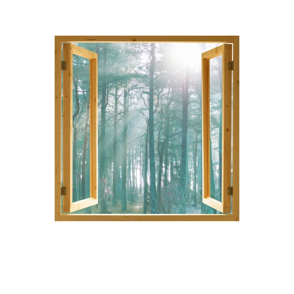 Ahşap çerçeve orman görünümü sabah güneş ışığı açık pencere — Stok fotoğraf