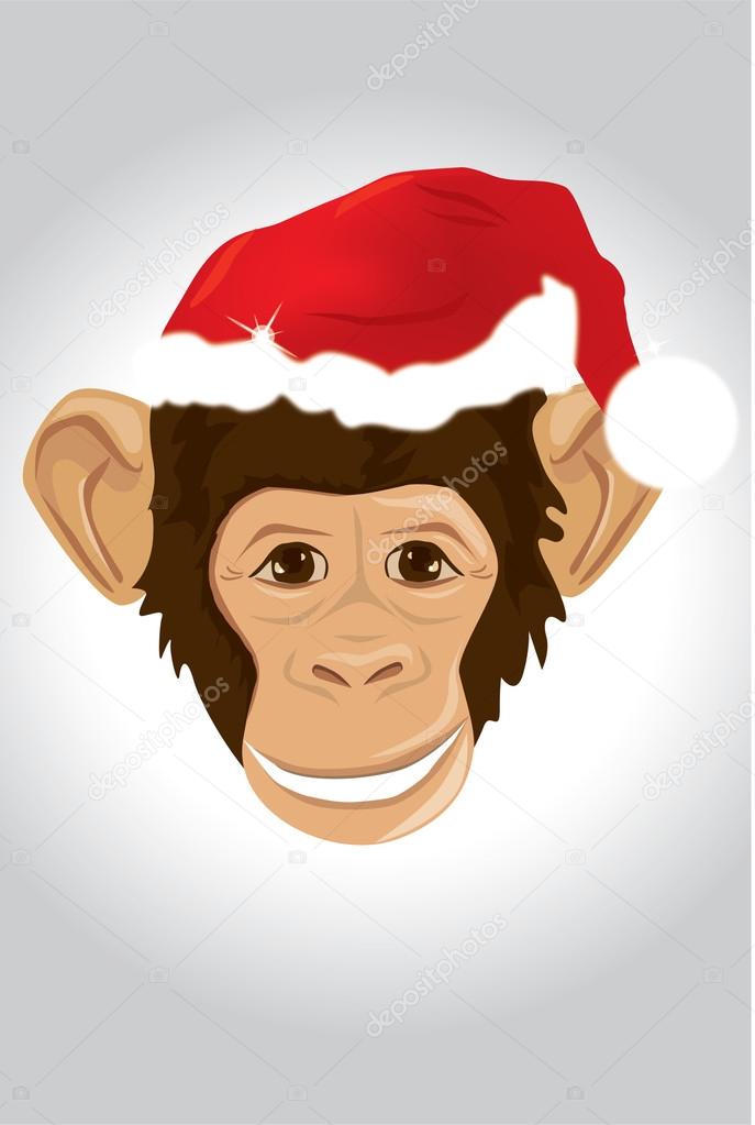 Monkey in a Christmas hat