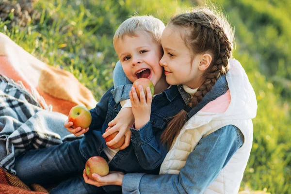 Children eat apples on the green grass. Brother and sister hug each other.