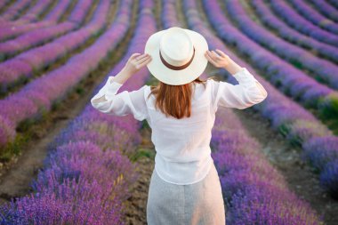 Beyaz şapkalı kız lavanta tarlasına bakıyor.. 