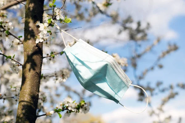 İlkbaharda çiçek açan bir ağacın dalında kullanılmış bir tıbbi maske asılı ve gelişir.