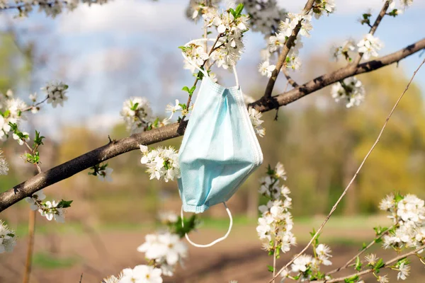 İlkbaharda çiçek açan bir ağacın dalında kullanılmış bir tıbbi maske asılı ve gelişir.