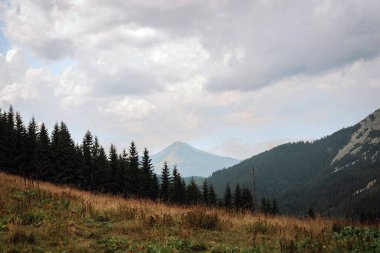 Dağın tepesinin manzarası. Atmosferik sonbahar dağ manzarası, Karpatlar, Ukrayna.