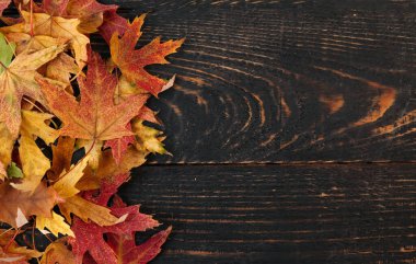 Turuncu sonbahar yaprakları koyu renkli, eski moda ahşap arka planda. Yukarıdan bak. Metin için çerçeve.