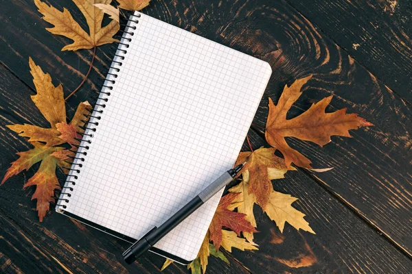 Sonbahar düz zemin üzerinde defter, kalem ve sarı yapraklar vardı. Yaratıcı iş yeri düzeni. Koyu renk ahşap.