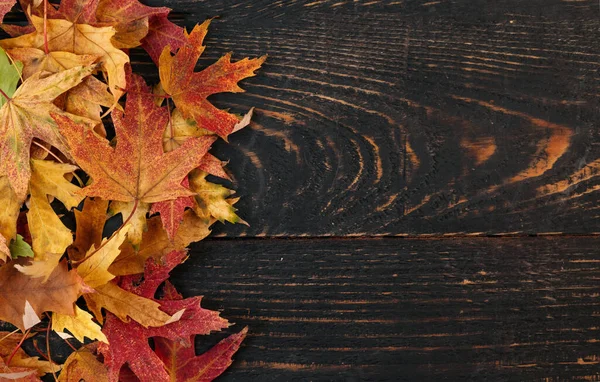 Turuncu sonbahar yaprakları koyu renkli, eski moda ahşap arka planda. Yukarıdan bak. Metin için çerçeve.
