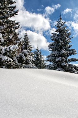 Güneşli Winterday Avusturya