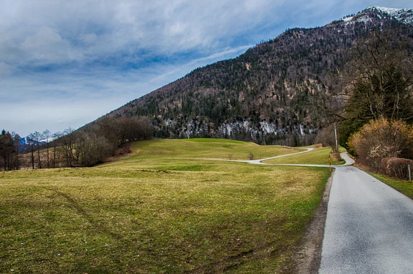 Pradera de camino sinuoso — Foto de Stock