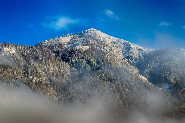 Sisli dağ tepe — Stok fotoğraf