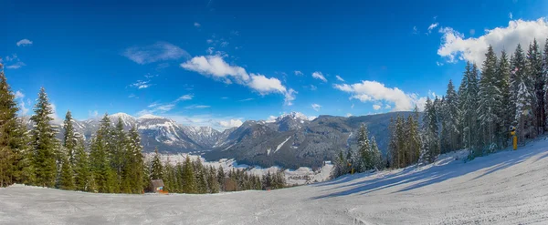 Avusturya kayak pisti