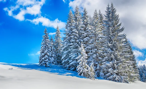 País das maravilhas do inverno Áustria — Fotografia de Stock