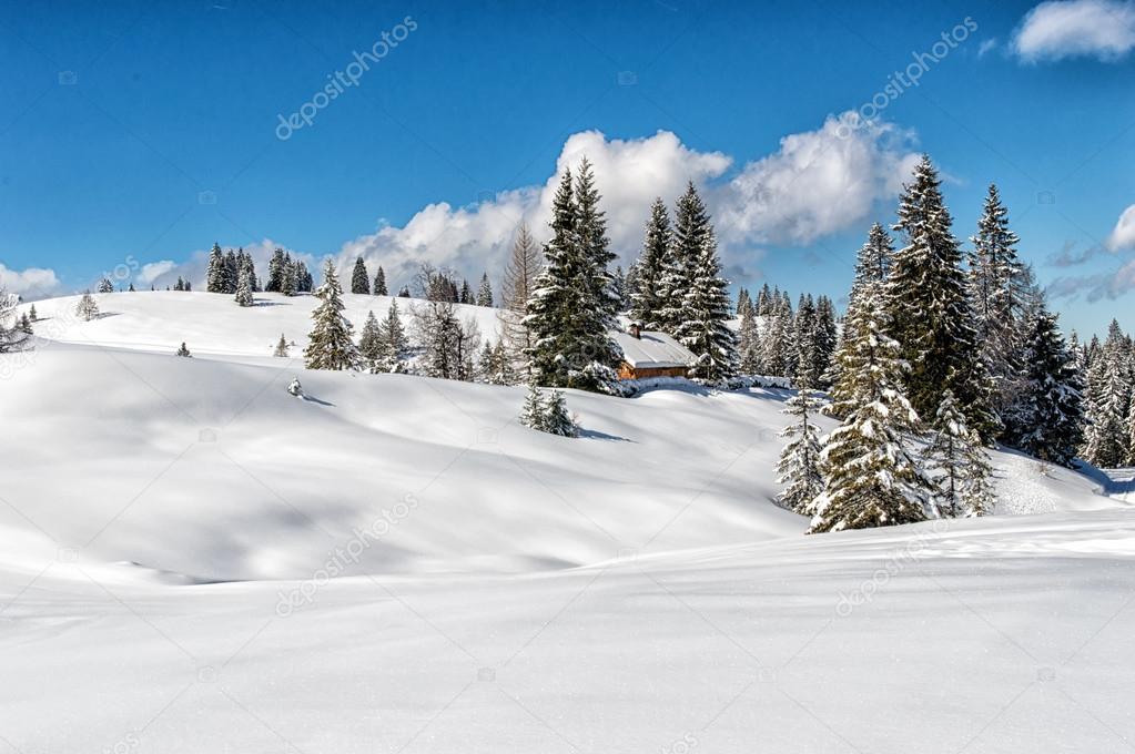 Idyllic winter landscape in the Alps with traditional mountain l