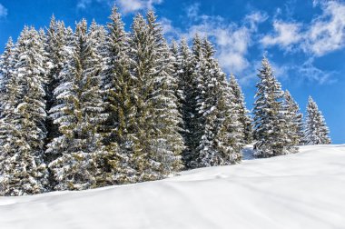 Kış harikalar diyarı Avusturya
