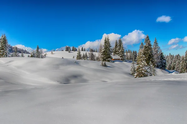 Идиллический зимний пейзаж в Альпах с традиционными горами l — стоковое фото