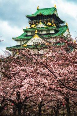 Kiraz çiçeği ve Osaka Kalesi