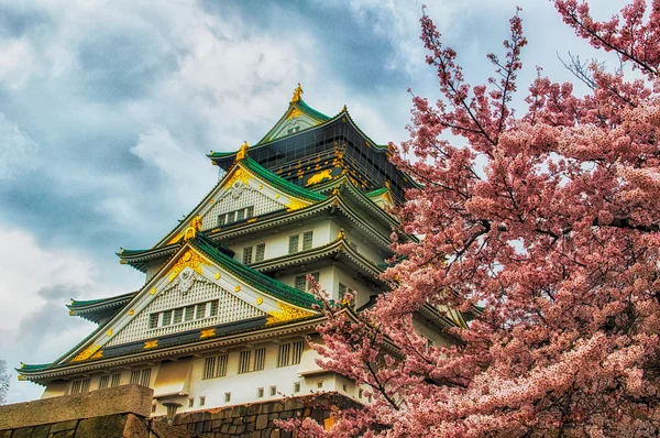 Sakura en kasteel — Stockfoto