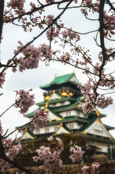 Osaka Kalesi Japonya — Stok fotoğraf