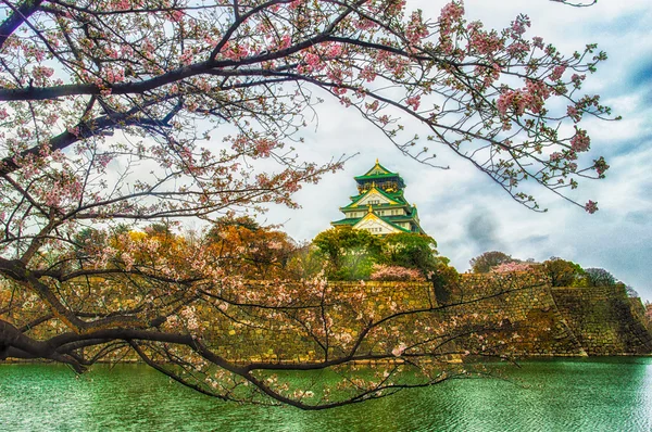 Kasteel Osaka Sakura — Stockfoto