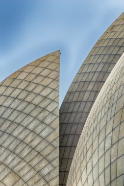 Lotus Temple detay
