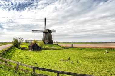 Tarladaki yel değirmeni