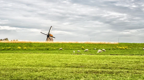 Paisagem típica holandesa — Fotografia de Stock