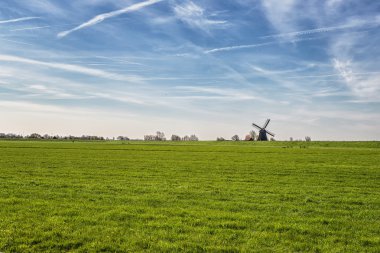 tipik bir Hollandalı peyzaj