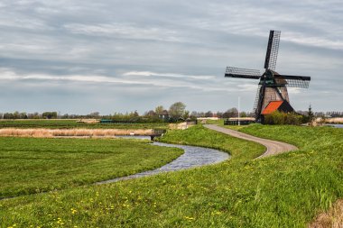 tipik Hollanda manzara