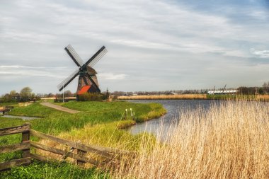 tipik Hollanda manzara