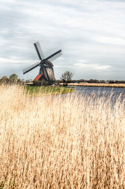 Geleneksel yel değirmeni manzara Hdr