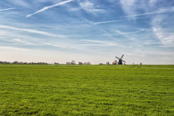 tipik bir Hollandalı peyzaj