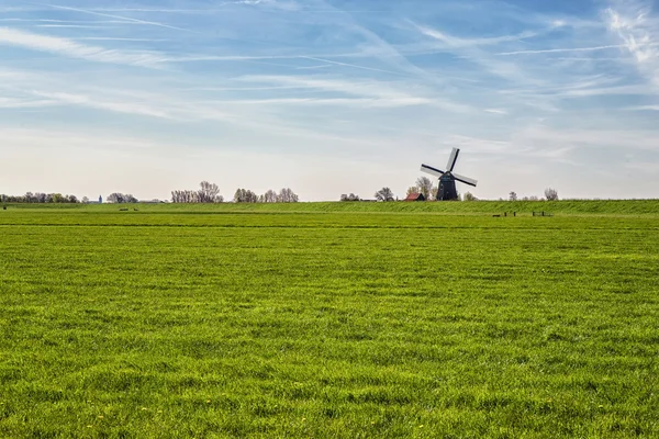tipik bir Hollandalı peyzaj
