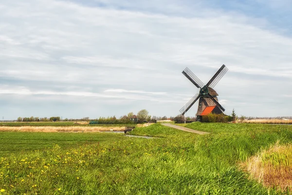 tipik Hollanda manzara