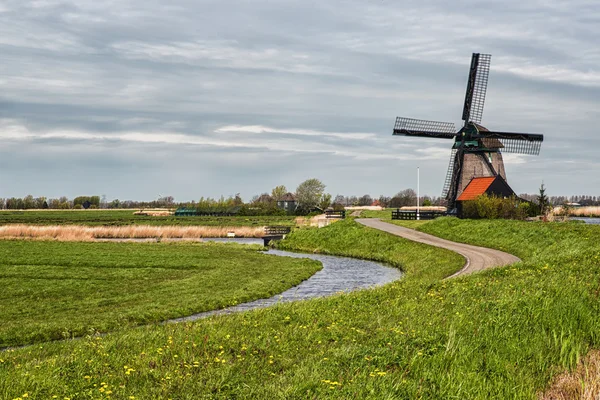 tipik Hollanda manzara