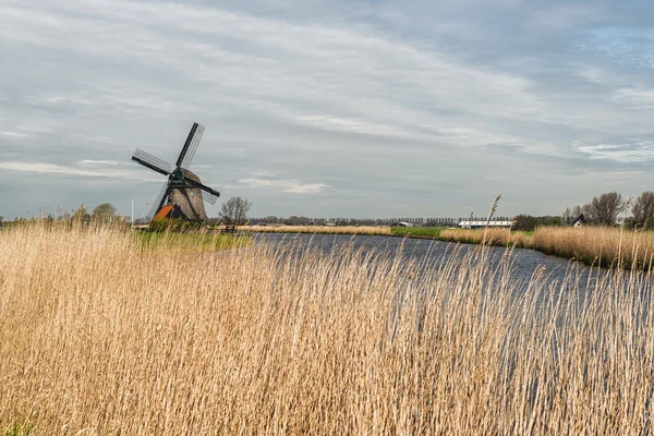 tipik Hollanda manzara