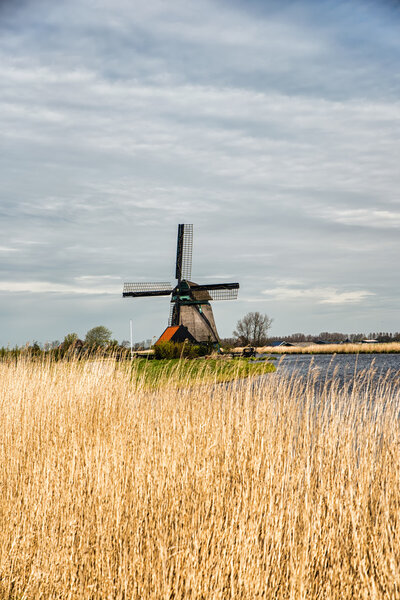 Traditional windmill landscape