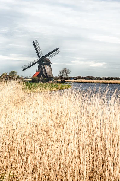 Geleneksel yel değirmeni manzara Hdr