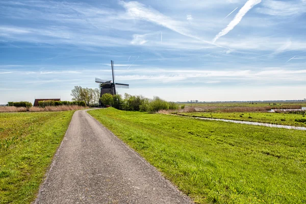 Bir kırsal yol ve Hollanda yel değirmeni