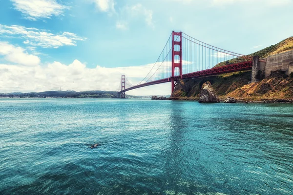 Golden Gate Bridge São Francisco Com Leão Marinho Nadador — Fotografia de Stock