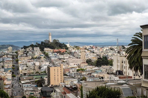 クルックド ロンバード ストリート サンフランシスコ カリフォルニア州から見たコイト タワー — ストック写真