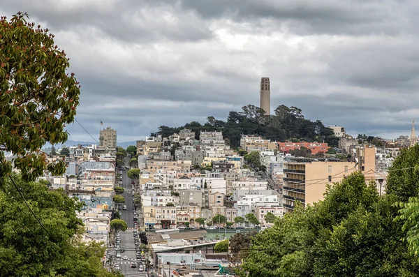 San Francisco Койт башта — стокове фото