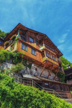 Hallstatt Village Austria 'da doğal yeşil ağaç çevresiyle çevrili tepede geleneksel yerel ev tarzı gelişiyor.