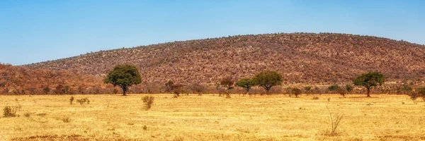 Vackert Savannlandskap Welgevonden Sydafrika — Stockfoto