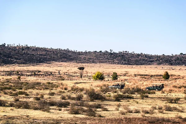 Spelvisning Fyrhjulsdrivna Fordon Turister Spel Spotting Safari Marakele Viltreservat — Stockfoto