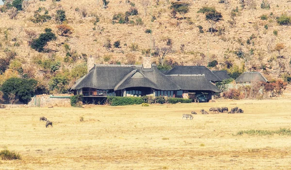 Alojamiento Lujo Parque Nacional Marakele Sudáfrica — Foto de Stock