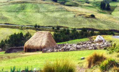 And Dağları Bölgesindeki Koyun ve Taş Kalem
