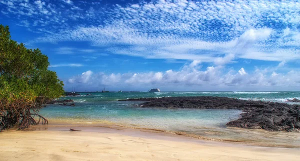 Paisaje Bahía Tortuga Isla Santa Cruz Galápagos Playa Pública Más — Foto de Stock