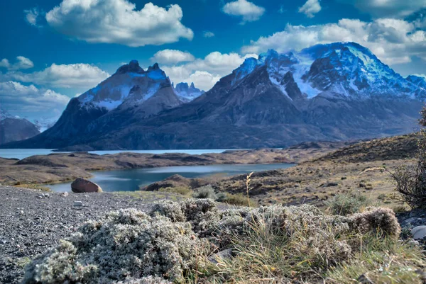 Patagonië Chili Torres Del Paine Het Zuid Patagonische Ijsveld Regio — Stockfoto