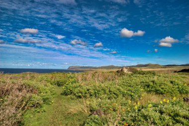 Paskalya Adası manzarası. Arka planda bir volkan var. Paskalya Adası, Şili.